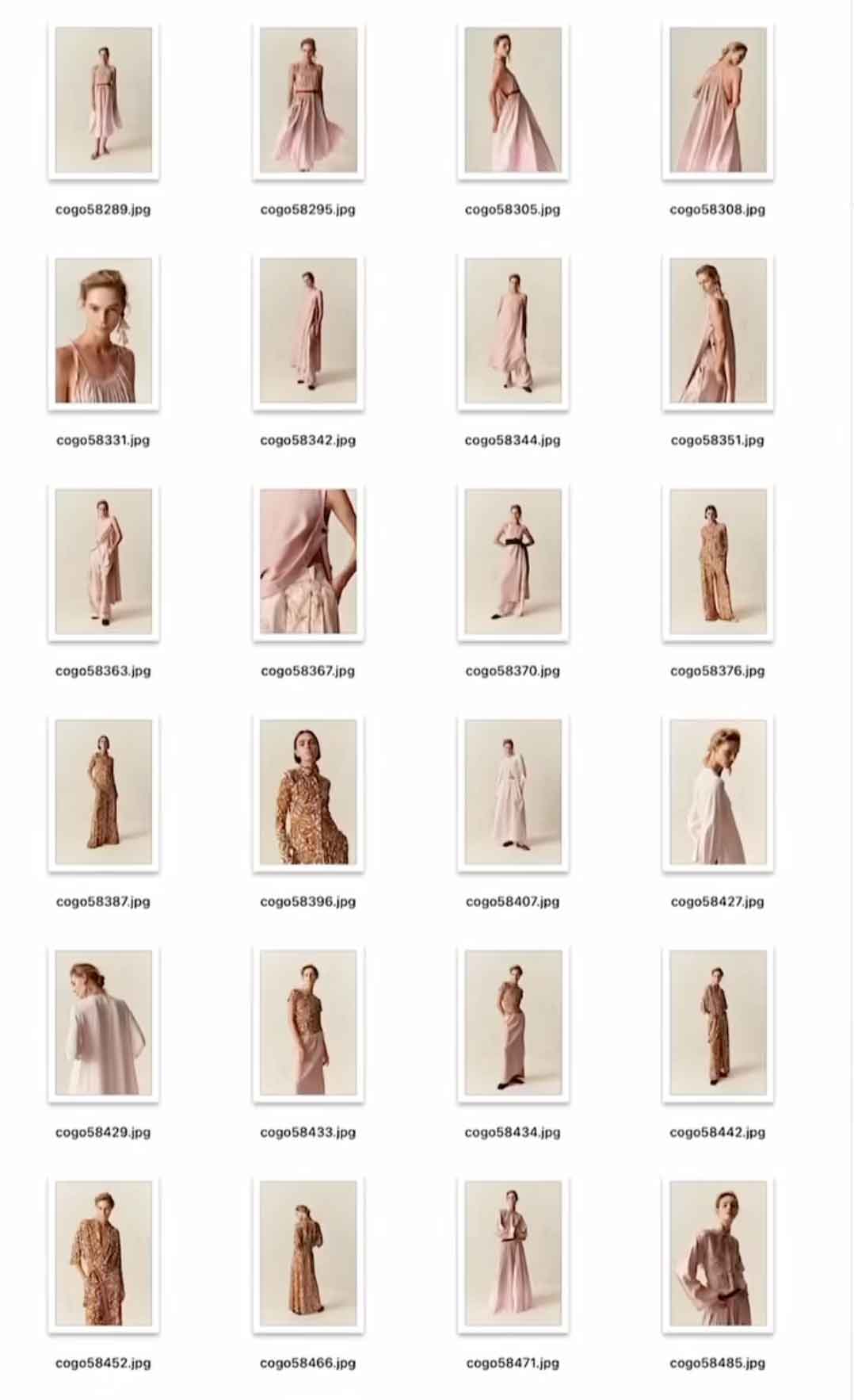 Cogo / Performance Marketing